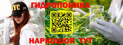 эйфоретик Шахты