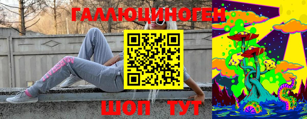 Волжск  Псилоцибиновые грибы Psilocybine cubensis  Вход с VPN 